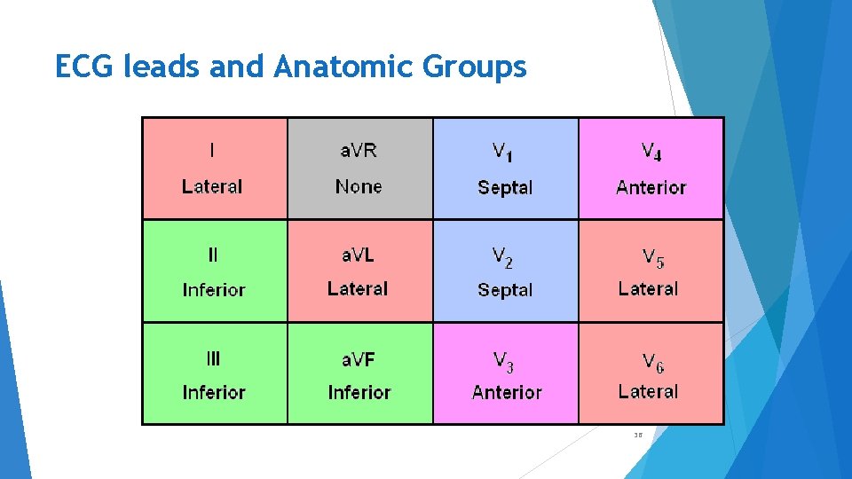 ECG leads and Anatomic Groups 36 