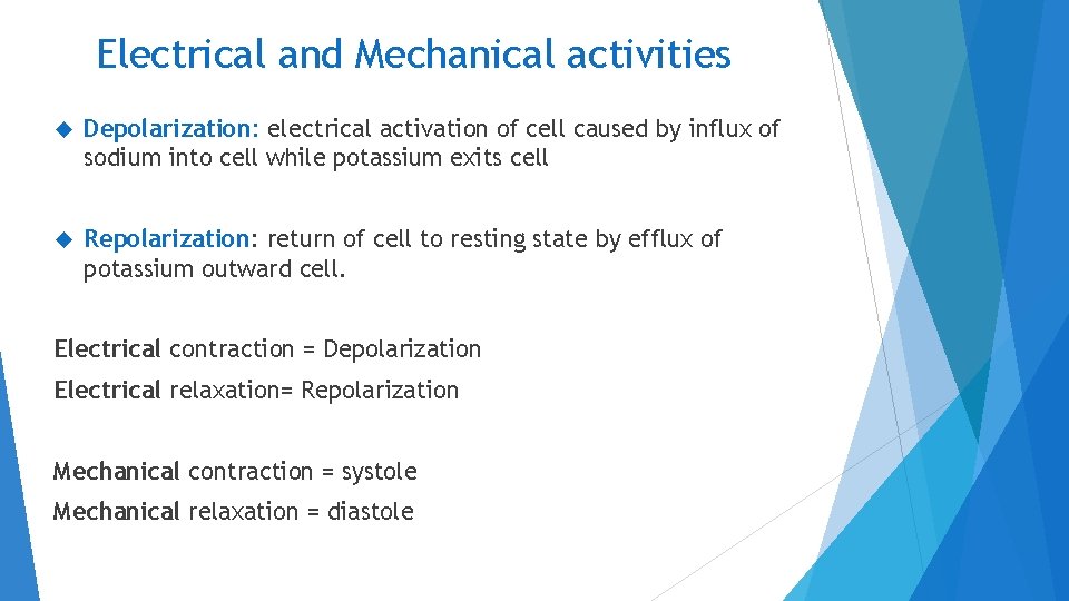 Electrical and Mechanical activities Depolarization: electrical activation of cell caused by influx of sodium