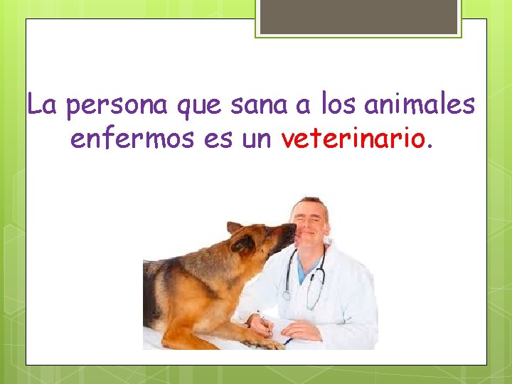 La persona que sana a los animales enfermos es un veterinario. 