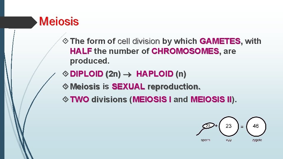 Meiosis The form of cell division by which GAMETES, with HALF the number of