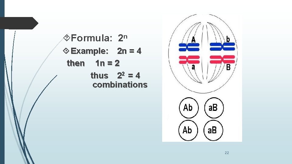  Formula: 2 n Example: 2 n = 4 then 1 n = 2