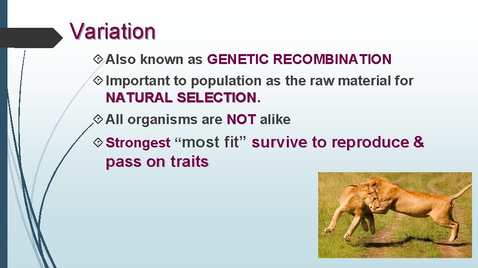 Variation Also known as GENETIC RECOMBINATION Important to population as the raw material for