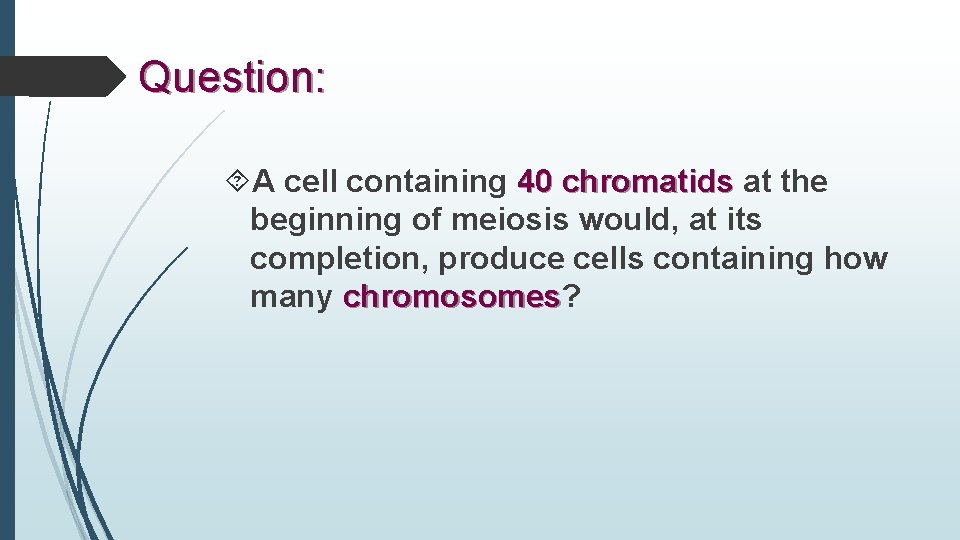 Question: A cell containing 40 chromatids at the beginning of meiosis would, at its