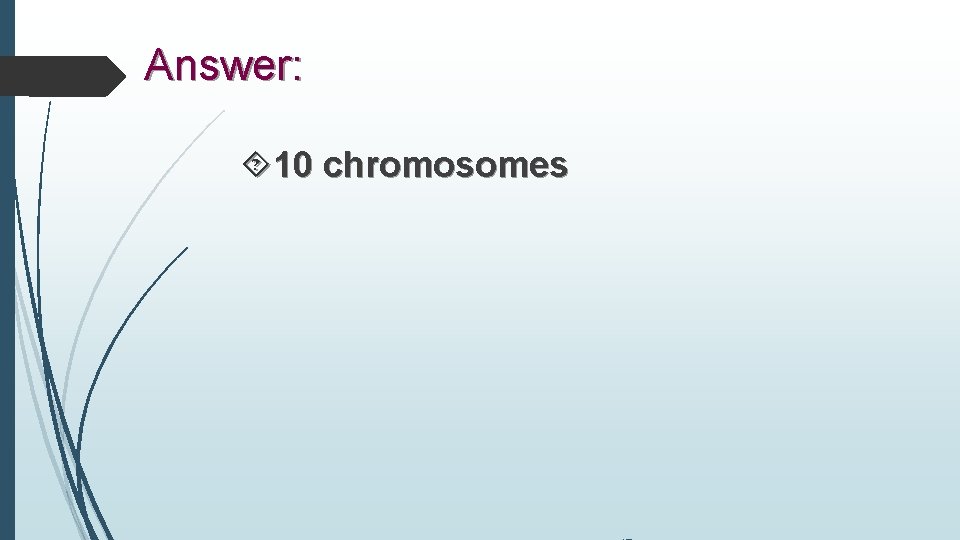 Answer: 10 chromosomes 