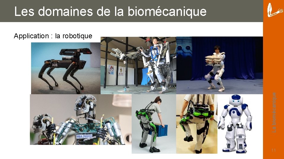 Les domaines de la biomécanique La biomécanique Application : la robotique 11 