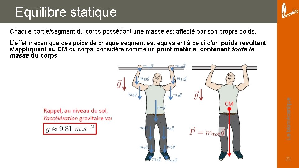 Equilibre statique Chaque partie/segment du corps possédant une masse est affecté par son propre