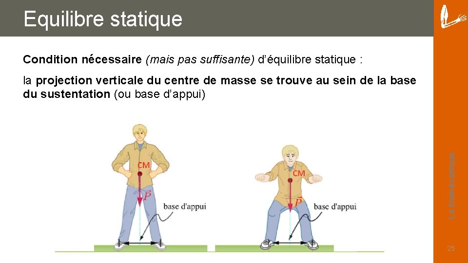 Equilibre statique Condition nécessaire (mais pas suffisante) d’équilibre statique : La biomécanique la projection