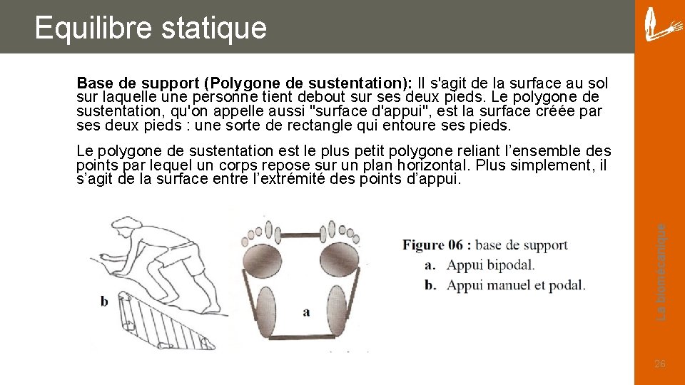 Equilibre statique Base de support (Polygone de sustentation): Il s'agit de la surface au
