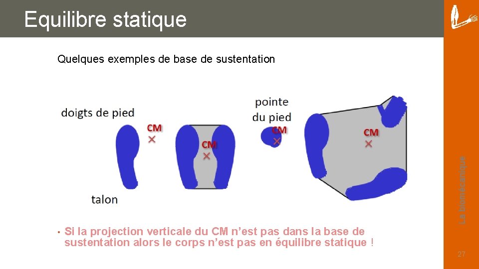 Equilibre statique La biomécanique Quelques exemples de base de sustentation • Si la projection