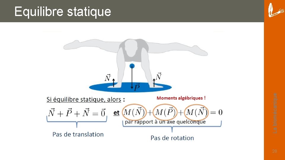 La biomécanique Equilibre statique 28 