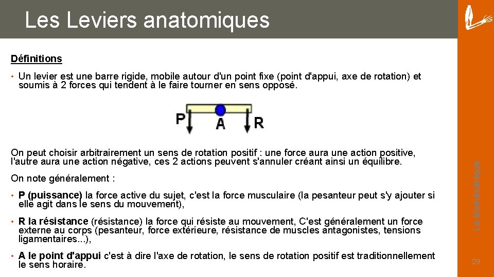 Les Leviers anatomiques Définitions Un levier est une barre rigide, mobile autour d'un point