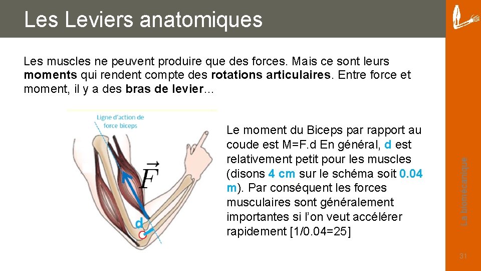 Les Leviers anatomiques Le moment du Biceps par rapport au coude est M=F. d