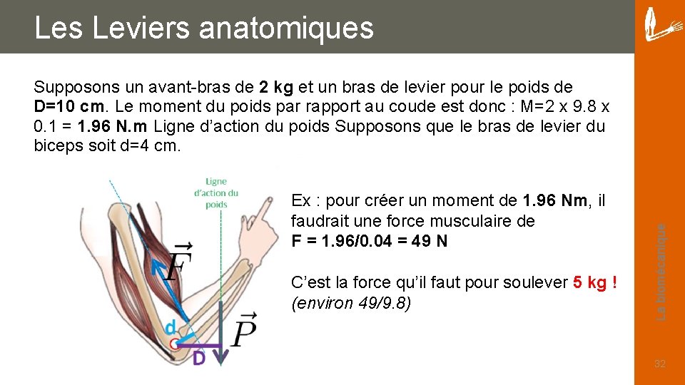 Les Leviers anatomiques Ex : pour créer un moment de 1. 96 Nm, il