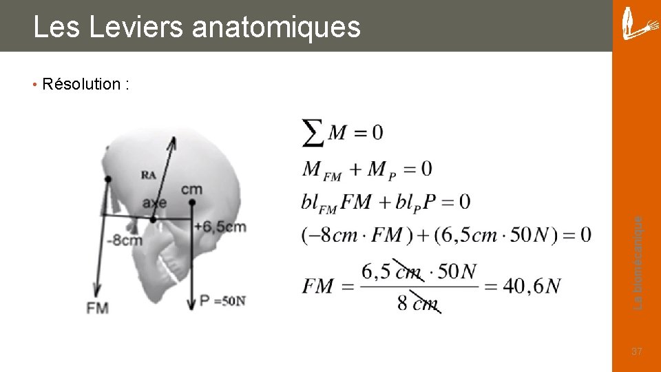 Les Leviers anatomiques Résolution : La biomécanique • 37 