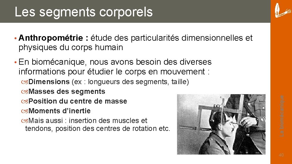 Les segments corporels • Anthropométrie : étude des particularités dimensionnelles et physiques du corps