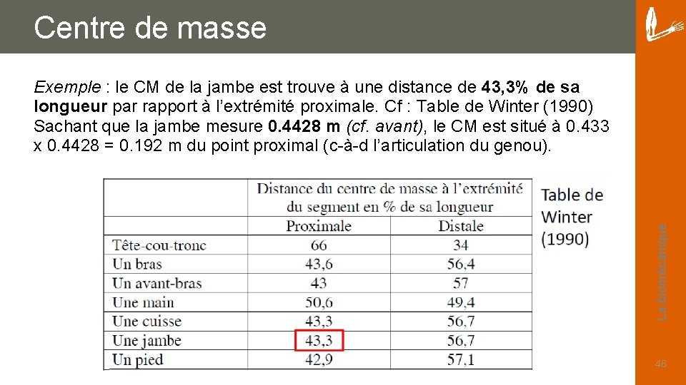 Centre de masse La biomécanique Exemple : le CM de la jambe est trouve