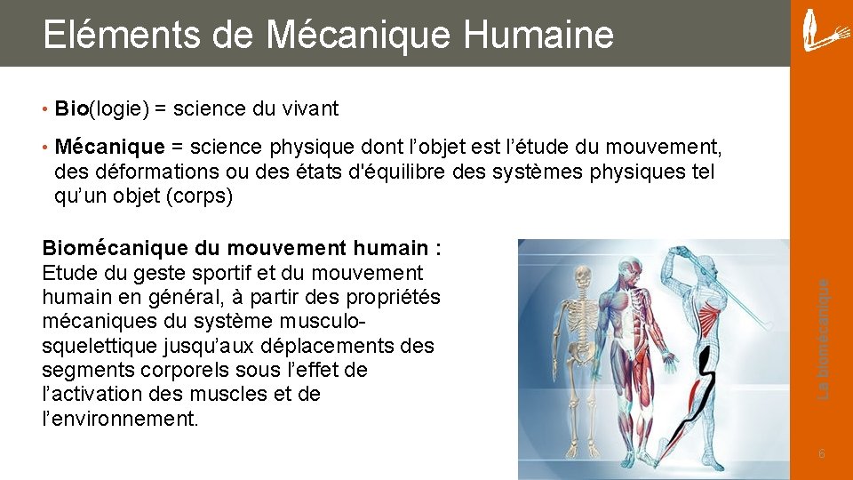  • Bio(logie) = science du vivant • Mécanique = science physique dont l’objet