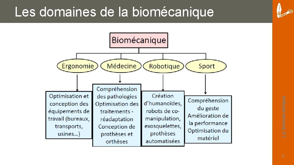 La biomécanique Les domaines de la biomécanique 8 