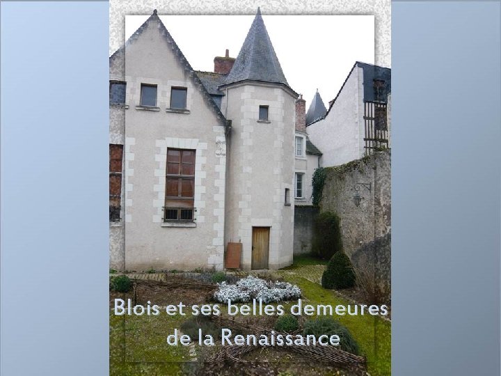 Blois et ses belles demeures de la Renaissance 