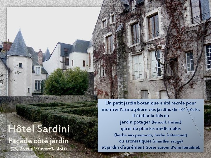 Hôtel Sardini Façade côté jardin (25, 26 rue Vauvert à Blois) Un petit jardin