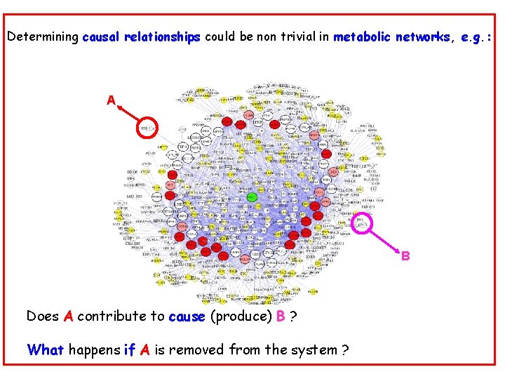 Determining causal relationships could be non trivial in metabolic networks, e. g. : A