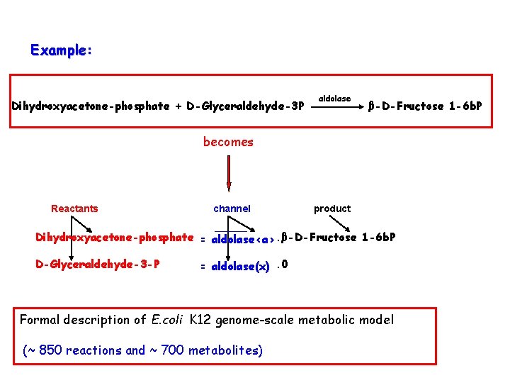 Example: Dihydroxyacetone-phosphate + D-Glyceraldehyde-3 P aldolase β-D-Fructose 1 -6 b. P becomes Reactants channel