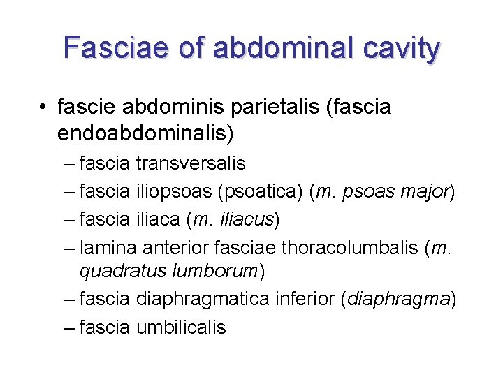 Fasciae of abdominal cavity • fascie abdominis parietalis (fascia endoabdominalis) – fascia transversalis –