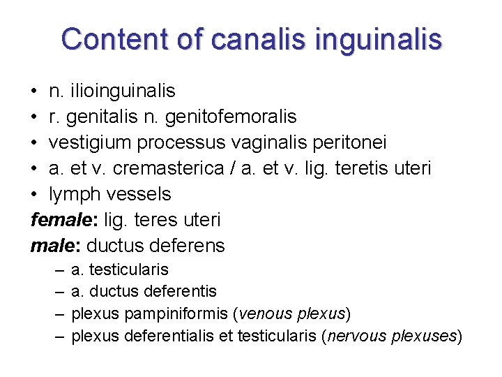 Content of canalis inguinalis • n. ilioinguinalis • r. genitalis n. genitofemoralis • vestigium
