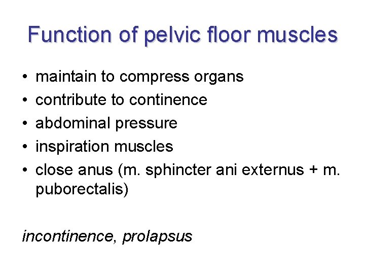 Function of pelvic floor muscles • • • maintain to compress organs contribute to