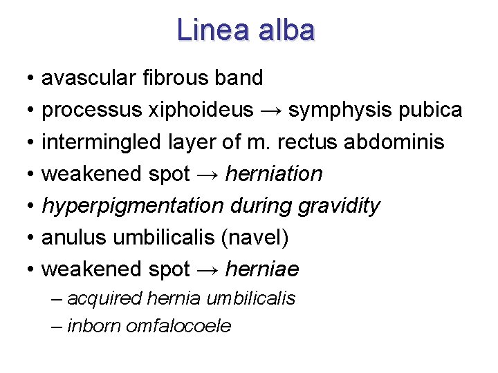 Linea alba • • avascular fibrous band processus xiphoideus → symphysis pubica intermingled layer