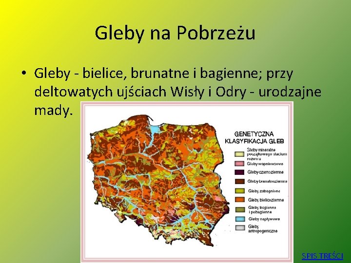 Gleby na Pobrzeżu • Gleby - bielice, brunatne i bagienne; przy deltowatych ujściach Wisły