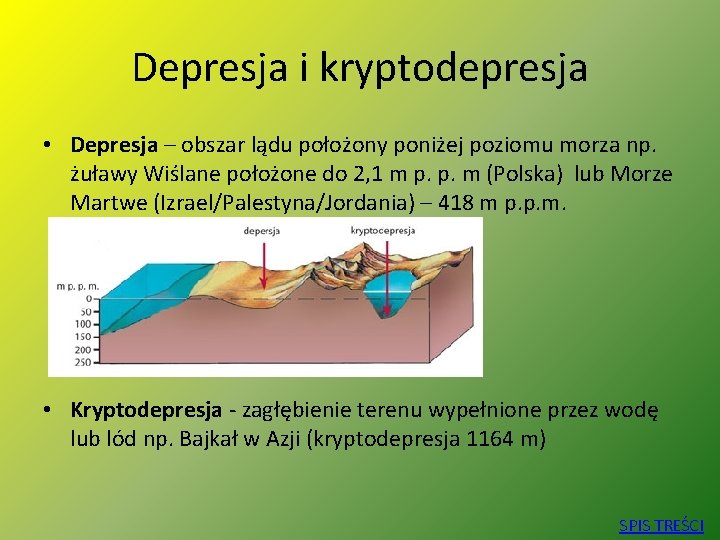 Depresja i kryptodepresja • Depresja – obszar lądu położony poniżej poziomu morza np. żuławy