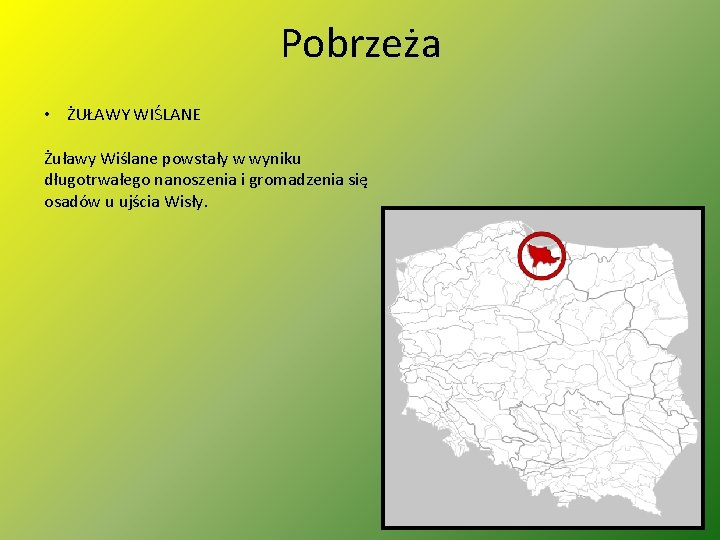 Pobrzeża • ŻUŁAWY WIŚLANE Żuławy Wiślane powstały w wyniku długotrwałego nanoszenia i gromadzenia się