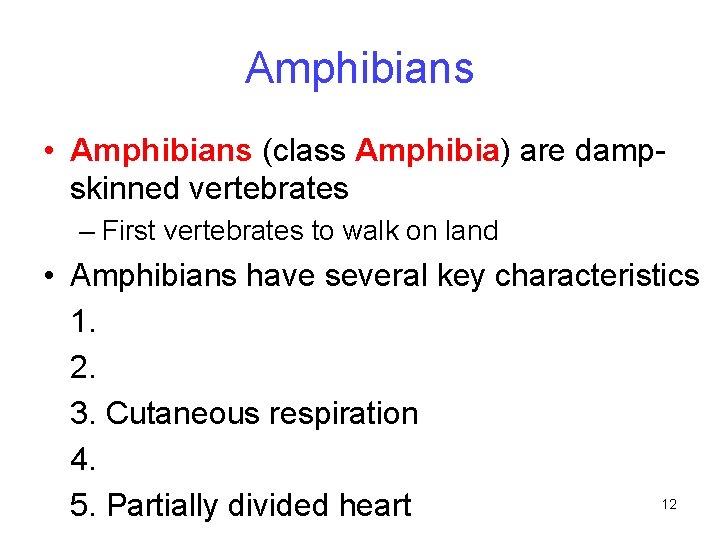 Amphibians • Amphibians (class Amphibia) are dampskinned vertebrates – First vertebrates to walk on