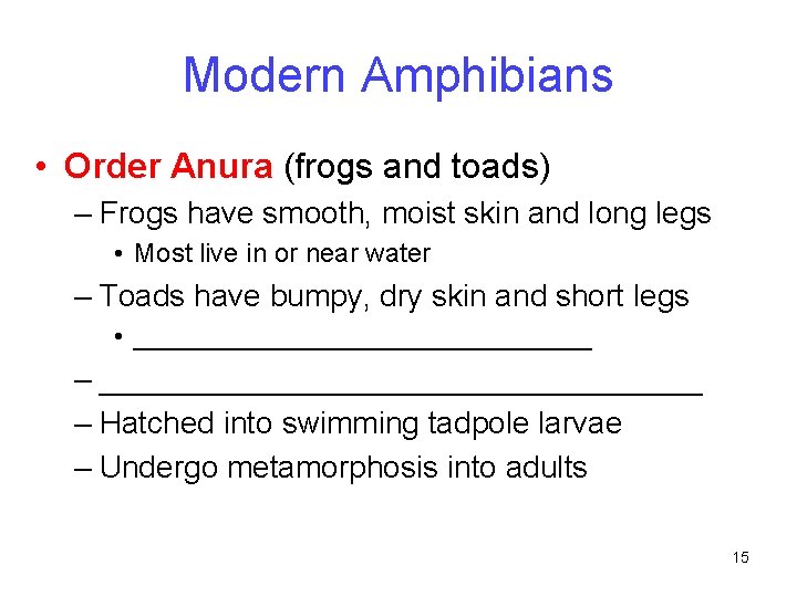 Modern Amphibians • Order Anura (frogs and toads) – Frogs have smooth, moist skin