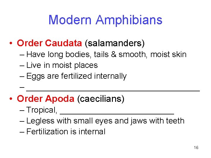 Modern Amphibians • Order Caudata (salamanders) – Have long bodies, tails & smooth, moist