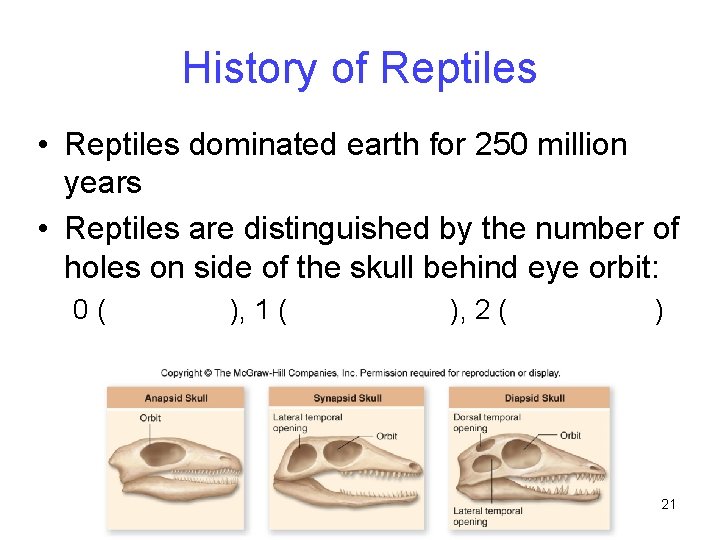 History of Reptiles • Reptiles dominated earth for 250 million years • Reptiles are