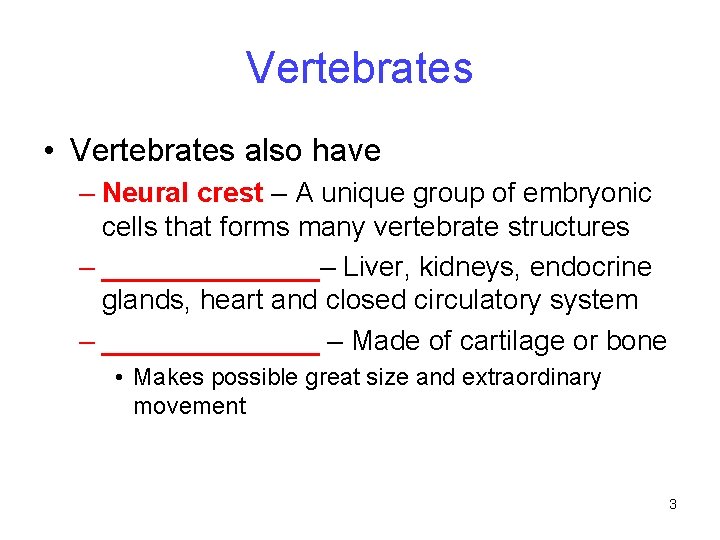 Vertebrates • Vertebrates also have – Neural crest – A unique group of embryonic