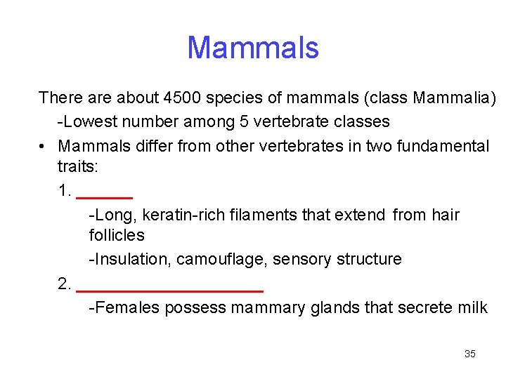 Mammals There about 4500 species of mammals (class Mammalia) -Lowest number among 5 vertebrate