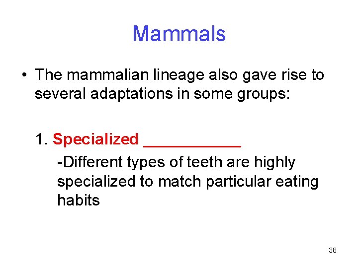 Mammals • The mammalian lineage also gave rise to several adaptations in some groups: