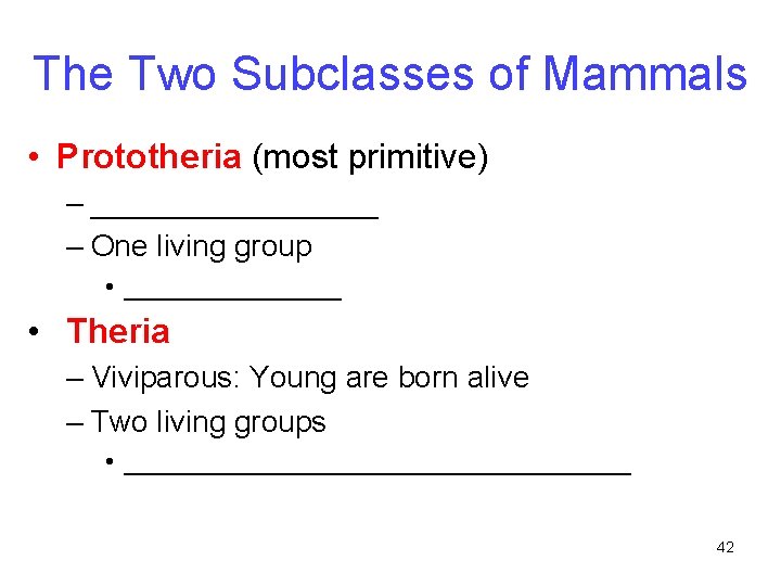 The Two Subclasses of Mammals • Prototheria (most primitive) – _________ – One living