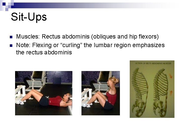 Sit-Ups n n Muscles: Rectus abdominis (obliques and hip flexors) Note: Flexing or “curling”