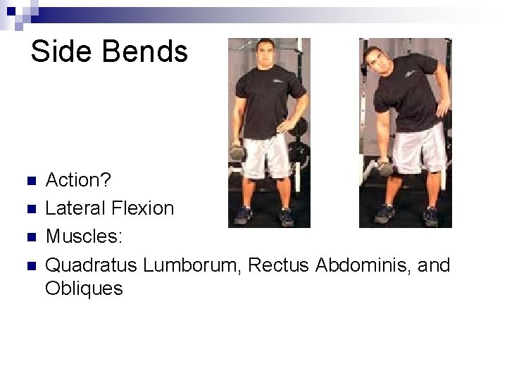 Side Bends n n Action? Lateral Flexion Muscles: Quadratus Lumborum, Rectus Abdominis, and Obliques