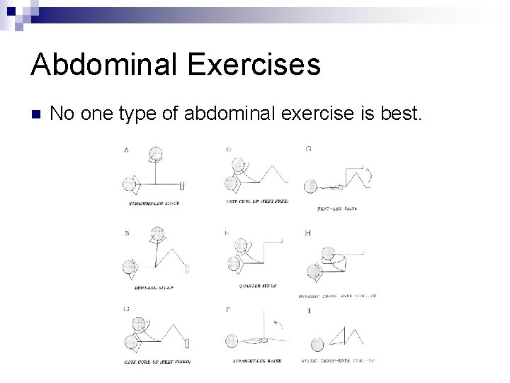 Abdominal Exercises n No one type of abdominal exercise is best. 