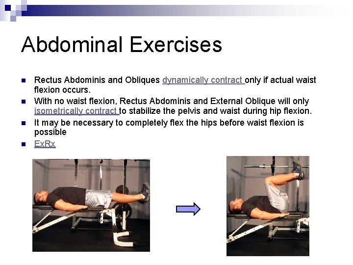 Abdominal Exercises n n Rectus Abdominis and Obliques dynamically contract only if actual waist