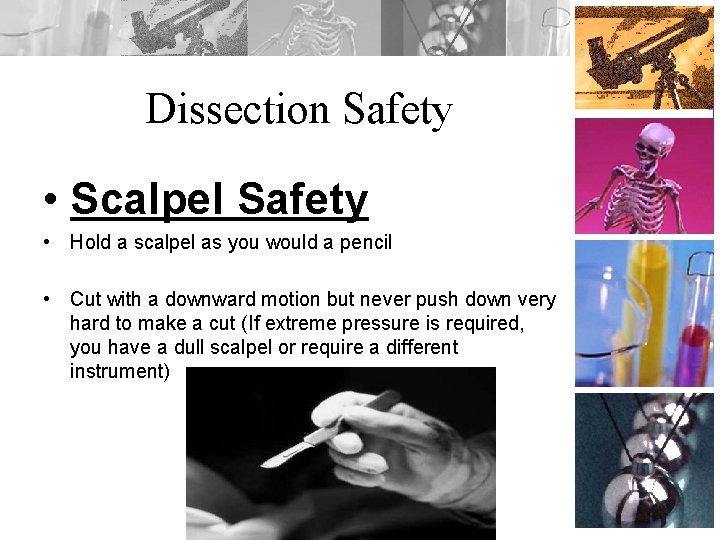 Dissection Safety • Scalpel Safety • Hold a scalpel as you would a pencil