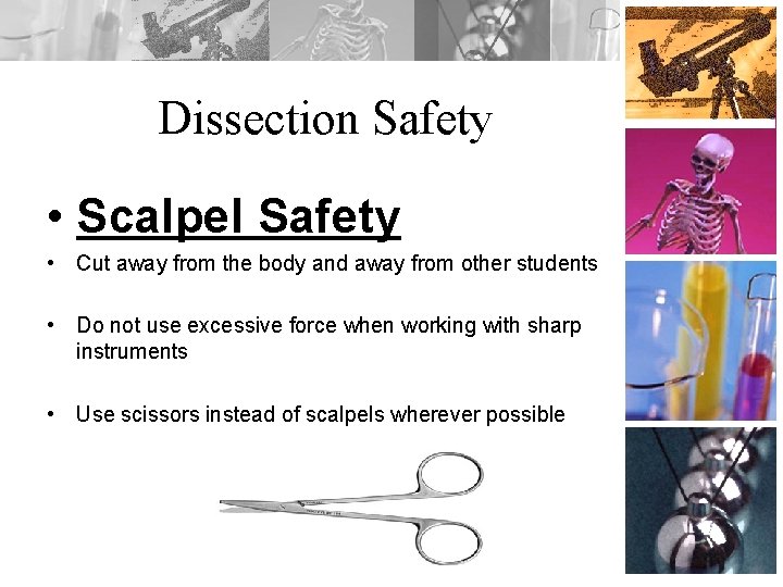 Dissection Safety • Scalpel Safety • Cut away from the body and away from