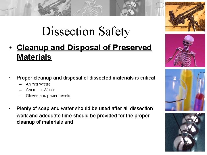 Dissection Safety • Cleanup and Disposal of Preserved Materials • Proper cleanup and disposal