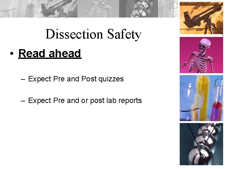 Dissection Safety • Read ahead – Expect Pre and Post quizzes – Expect Pre