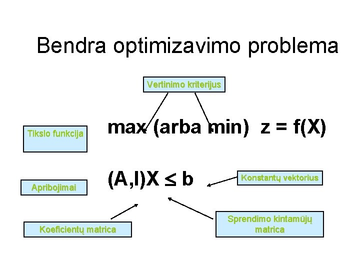 Bendra optimizavimo problema Vertinimo kriterijus Tikslo funkcija Apribojimai max (arba min) z = f(X)